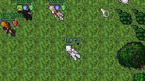 Oxen on screen