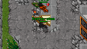 Fetto-zion on screen