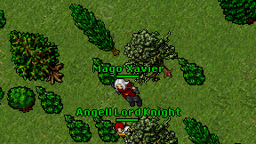 Mago'Xavier on screen