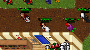 Lozixa on screen