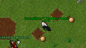 Bocaliber'Weatherman on screen