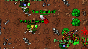 Van Gandalf on screen