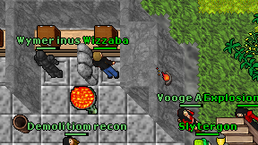 Wizzaba on screen