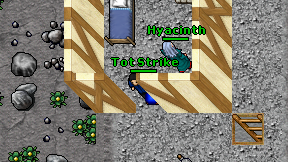 Tot Strike on screen
