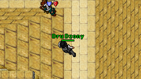 Dru Dzony on screen