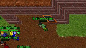 Kabessaun on screen