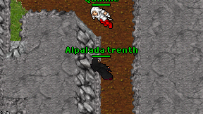 Alpalada trenth on screen