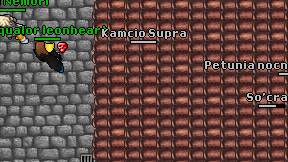Kamcio Supra on screen