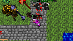 Ziholu on screen