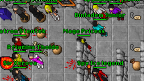 Mage Pricess on screen