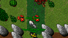 Aide Alne on screen
