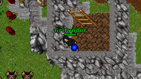 Grifyndor on screen