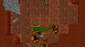 Pantagano on screen