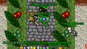 Sayan Sorcer on screen