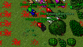 Mage of Imperius on screen