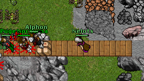 Nelots on screen