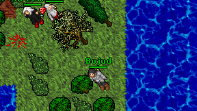 Bojud on screen