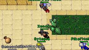 Xenate on screen