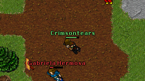 Crimsontears on screen