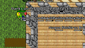 Nugon Shin on screen
