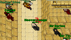 Hoovers mage on screen