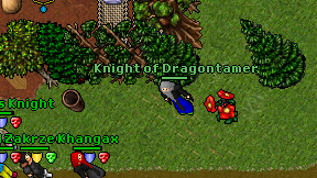 Knight of Dragontamer on screen