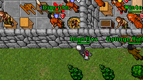 Highflys on screen