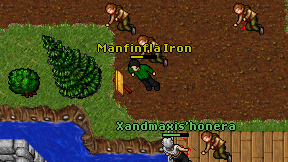 Manfinfla Iron on screen