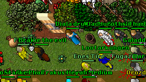 Diala druid on screen