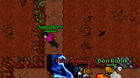 Smolker on screen