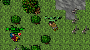 Peacker on screen