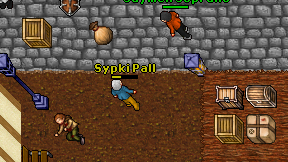 Sypki Pall on screen