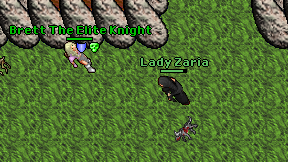 Lady Zaria on screen