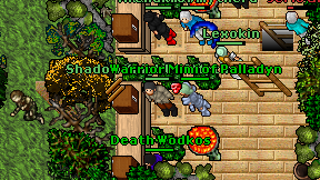 Shadow Knight of Mythera on screen