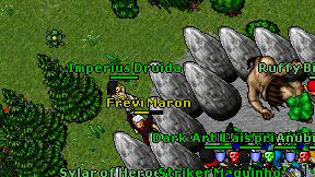 Imperius Druida on screen