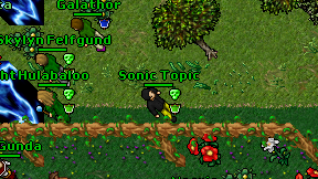 Sonic Topic on screen