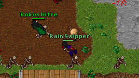 Rain Swipper on screen