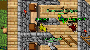 Kogud on screen