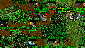 Jenasi on screen