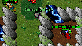 Jaracz joghurt on screen