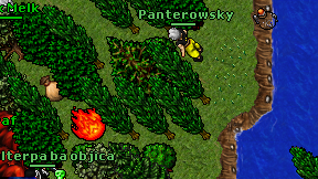 Panterowsky on screen