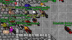 Knight Niki on screen