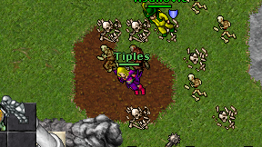 Tiples on screen