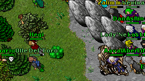 Hegi on screen