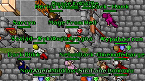 Mage From Hell on screen