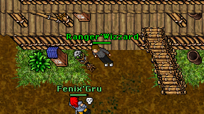 Ranger'Wizzard on screen