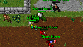 Eliptiq on screen