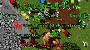 Cooki Wooki on screen