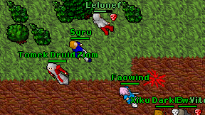 Sgru on screen