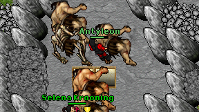 Antyleon on screen